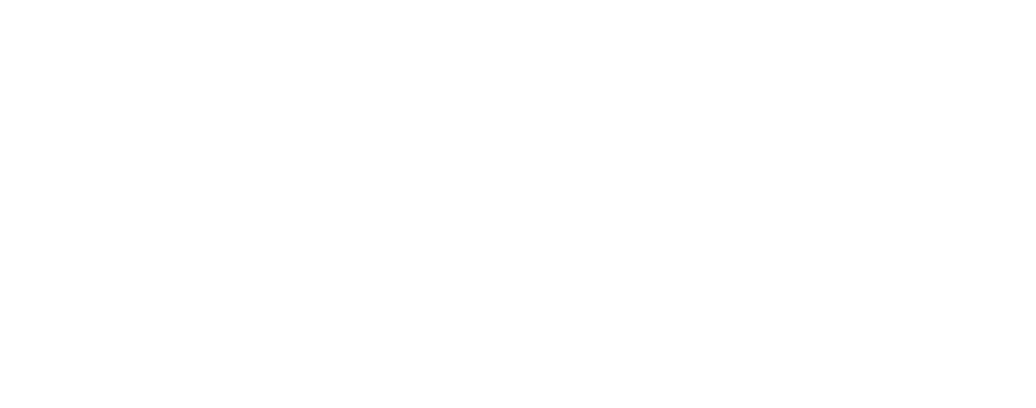 TSSM